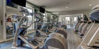 The Saulet Gallery 29