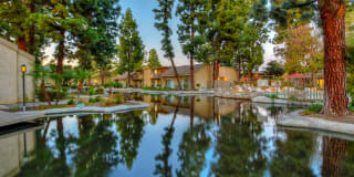 The Streams Gallery 1