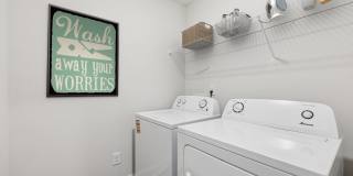 Poplar Row Gallery 25