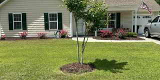 204 Holly Lane Gallery 1