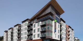 LINQ Lofts + Flats Gallery 1