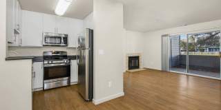 Lantern Cove Gallery 43