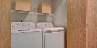 Foster Greens Gallery 8