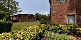 Noah's Landing Gallery 26