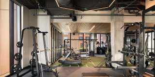 Olive Gallery 9