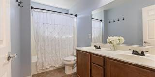 11204 Robin Park Avenue Gallery 12