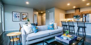 Kielo at Grass Valley Gallery 4