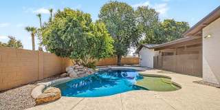 Great Tempe Home with Diving Pool Great Tempe Home with Diving Pool Gallery 1