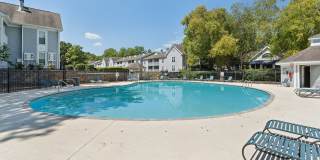 Piccadilly Gallery 6