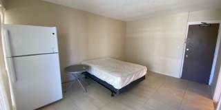 Studio near Waikiki Beach Gallery 1