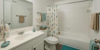 Hidden Colony Gallery 29