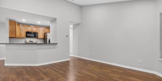 Pristine in PVB Gallery 13