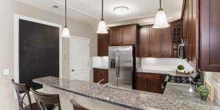 24636 WOOLLY MAMMOTH Terrace Gallery 20