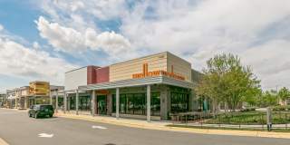 The Sully Gallery 50