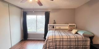 7543 PRAIRIE LACE Gallery 26