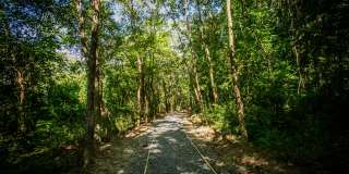 Stone Creek at Brookhaven Gallery 25