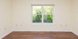 Chestnut Hill East Gallery 21