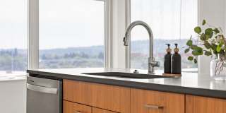 Splash Apartments Gallery 37