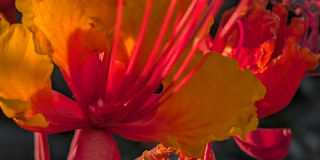 23833 S Pleasant Way Gallery 23