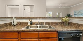 Ansley Place Gallery 26