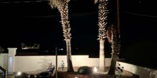 2790 Alibi Dr Gallery 15