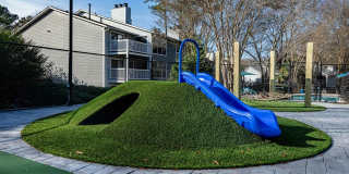 The Dakota at Druid Hills Gallery 6