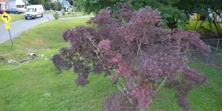 329-B BAR HARBOR Road Gallery 17
