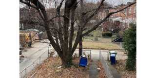 699 Whitmore Avenue Gallery 3