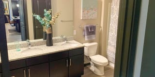 Springs at the Reserve Gallery 42