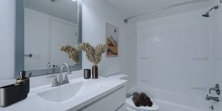 South Grove Apartments Gallery 5