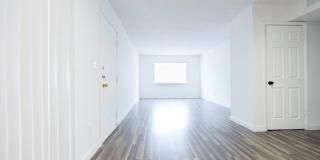 Adar at Golden Gate Gallery 13