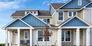 Mihir Taylor Gallery 1