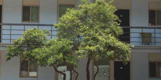 Penthouse Gallery 126