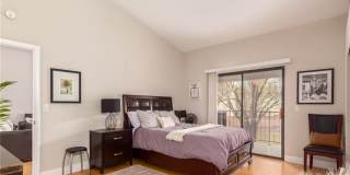 2840 Bluebonnet Drive Gallery 14