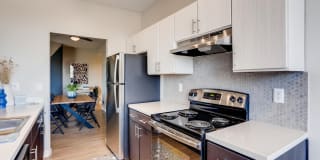 Alta Springs Gallery 8