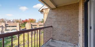 The Cloisters Gallery 36