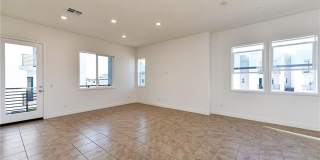258 Sash 258 Sash Gallery 8