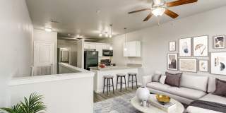 Reata at Alamo Ranch Gallery 3