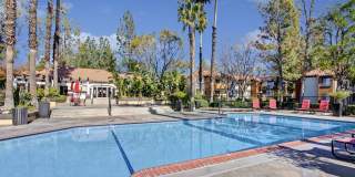 Castlepark Gallery 18