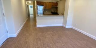 86-15 Kingston Place Gallery 1