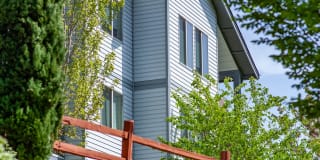 Palermo at Lakeland Gallery 11