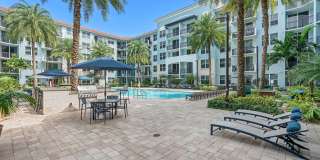 Paraiso at Fountain Square Gallery 12