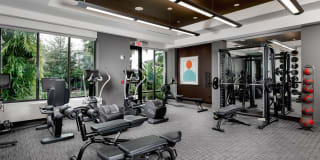 Arcadia Dr. Phillips Arcadia Dr. Phillips Gallery 5