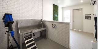 The Banks at Mt. Holly Apartments Gallery 37