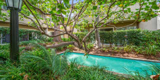 West Park Village Gallery 6