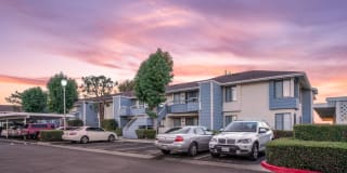 Pacific Pointe Gallery 21