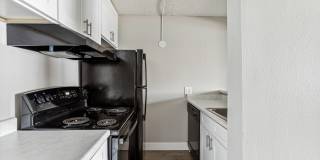 Park at Palmer Gallery 11