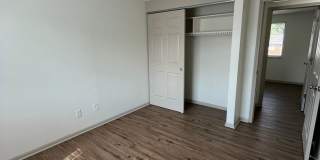Renovated 5 Bedroom Home-Rare Find Gallery 12