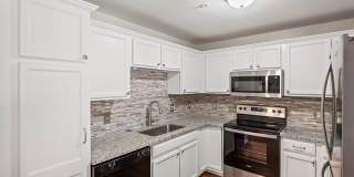 142 SANDY Lane Gallery 8