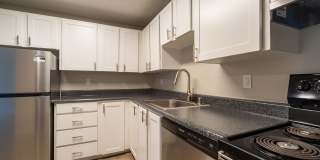 Village at Sota Gallery 10